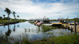 Miami Experiencia Everglades